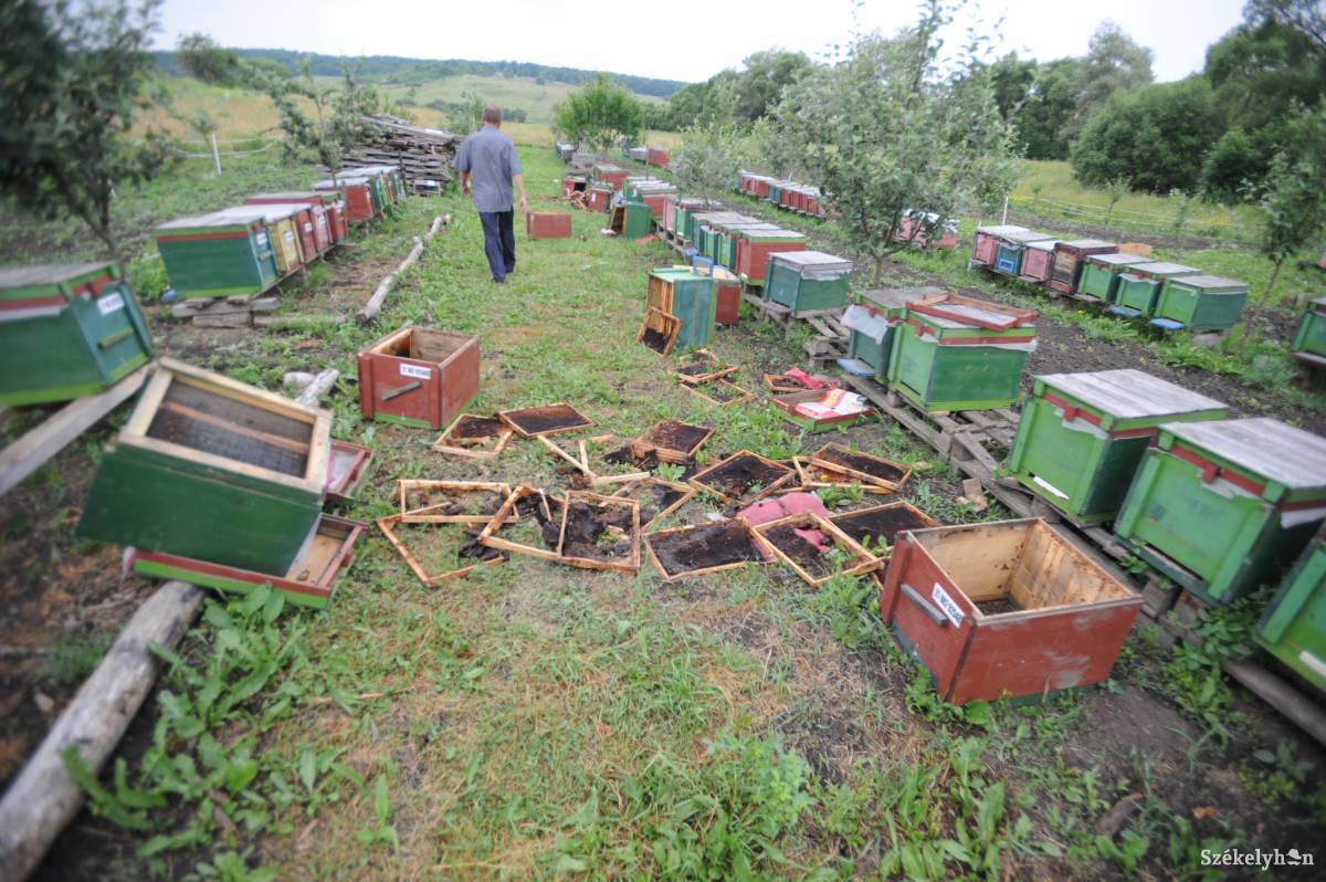 &bullet;  Fotó: Thomas Campean