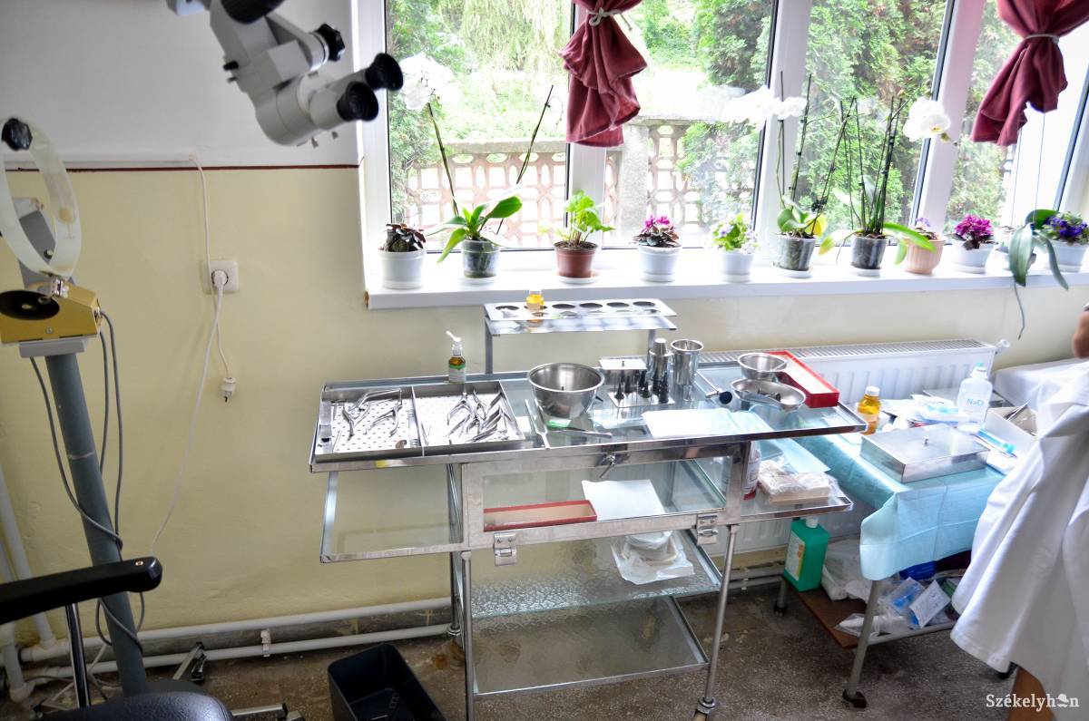 &bullet;  Fotó: Barabás Ákos