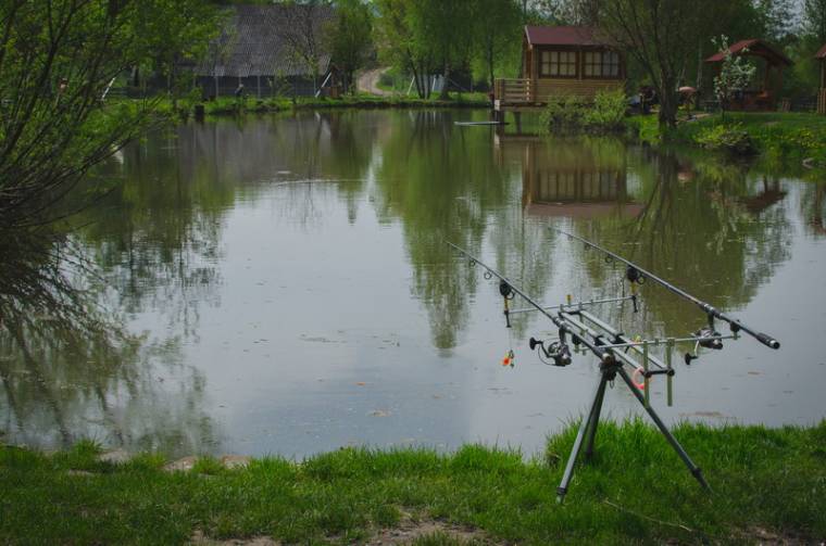 Tilos lesz a síkvízi halfajok horgászata