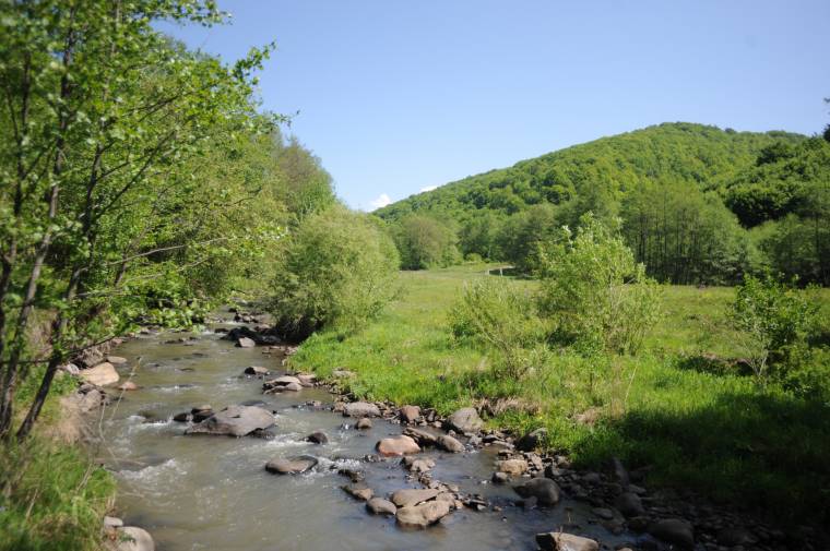 Elképesztően gazdag az Ilona-völgye élővilága