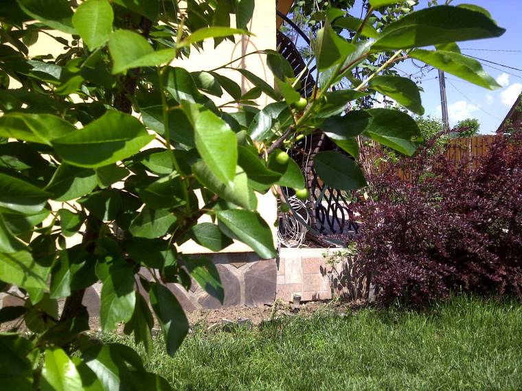 Nem kedvezett az időjárás a permetezésnek