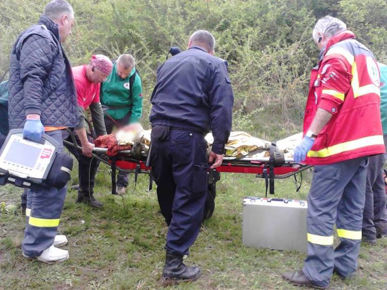Medvejárás közben mentettek