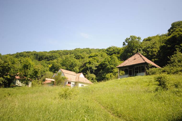 Fellendítenék Szejkefürdőt