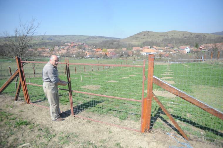 Gyümölcsfacsemetéket loptak el egy agyagfalvi birtokról