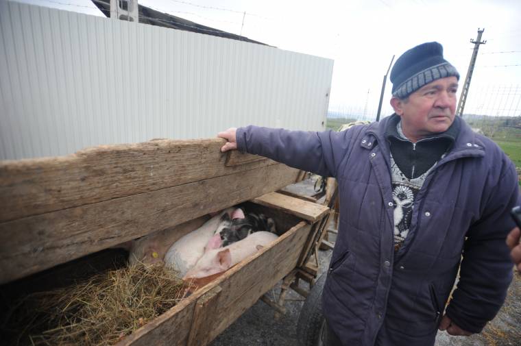 Több volt az érdeklődő, mint a vásárló