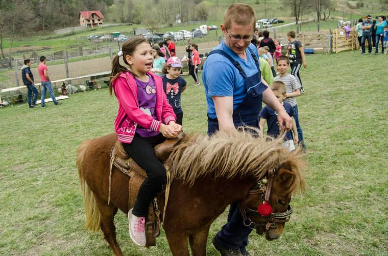 Póni lett a vásár kedvence