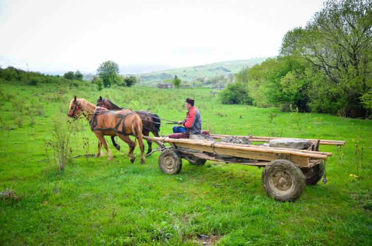 Takarítottak a katonaság melletti legelőn