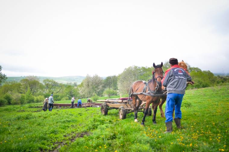 Idén előre megkapják mezőgazdasági támogatásaikat a romániai gazdák