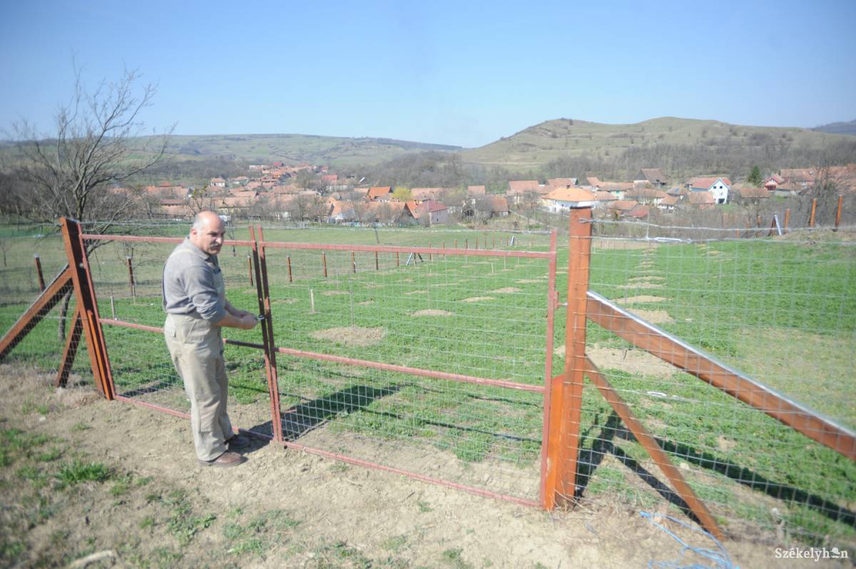 &bullet;  Fotó: Thomas Campean