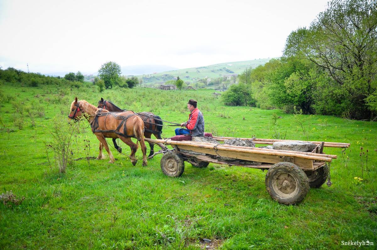 &bullet;  Fotó: Barabás Ákos