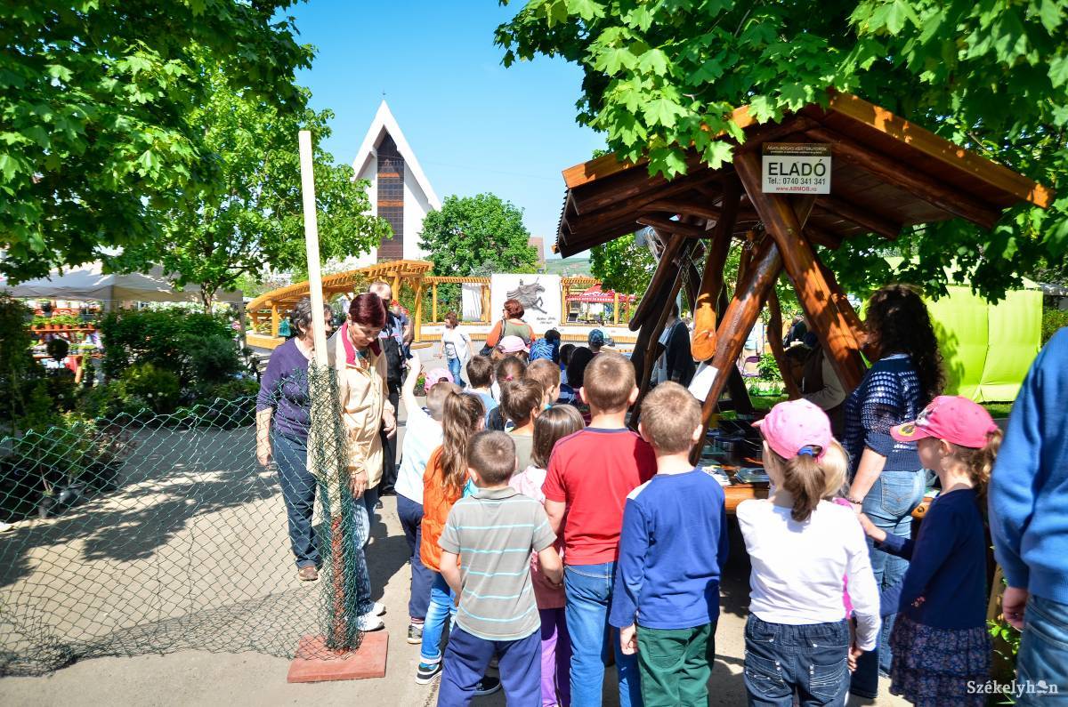 &bullet;  Fotó: Barabás Ákos