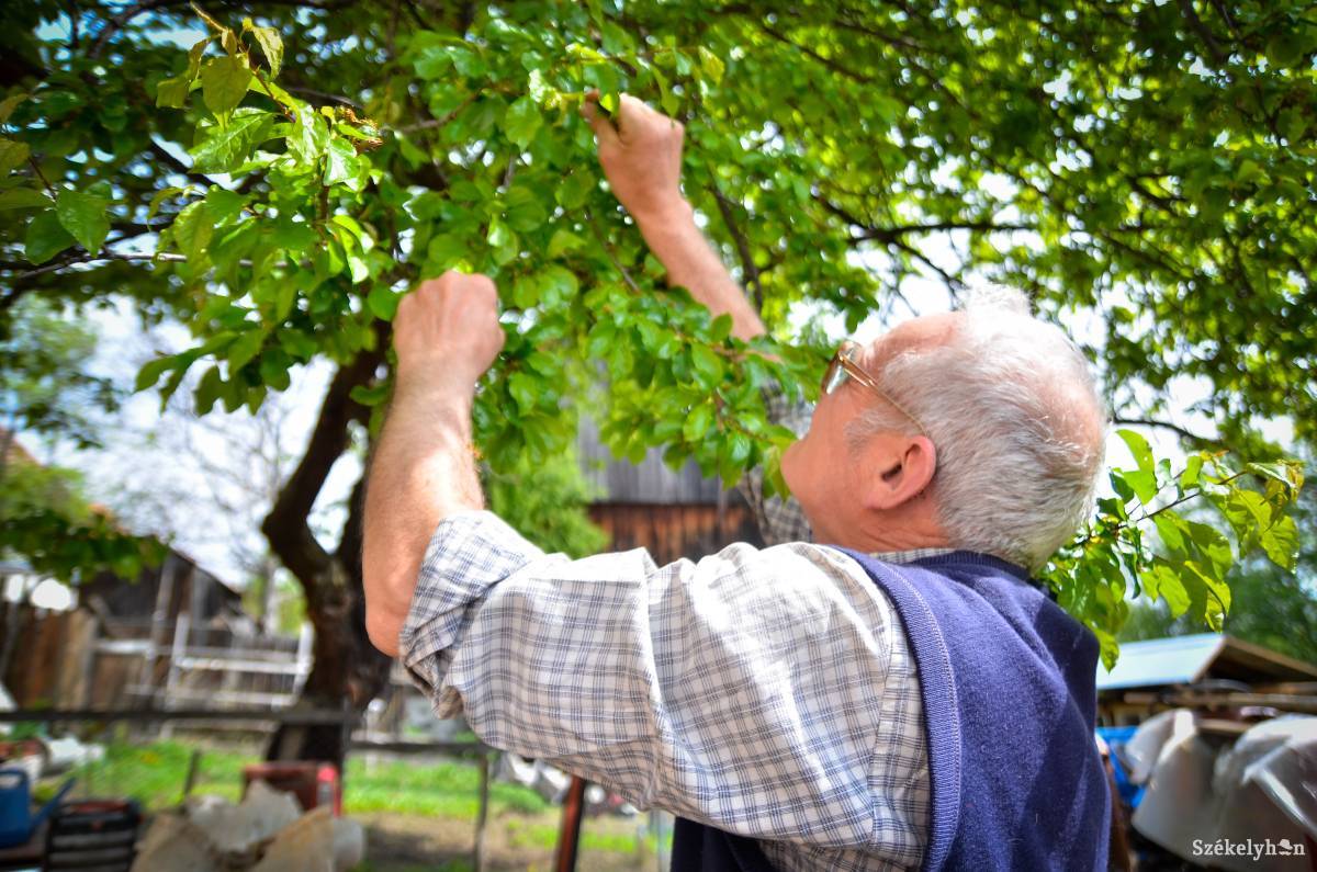 &bullet;  Fotó: Barabás Ákos
