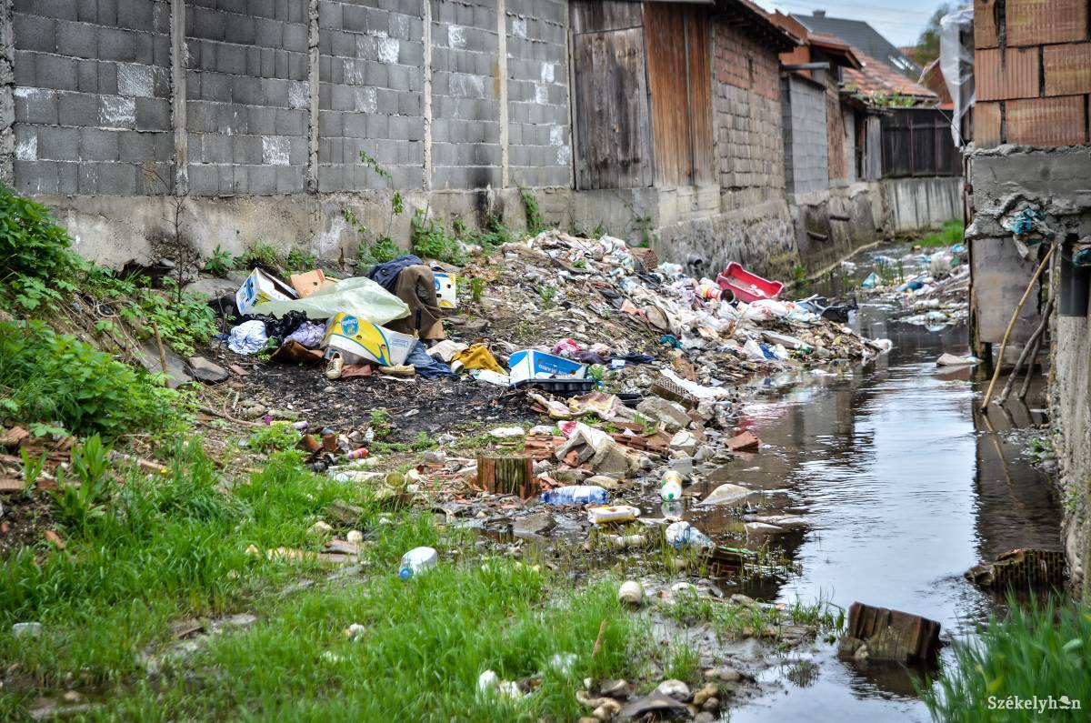 &bullet;  Fotó: Barabás Ákos