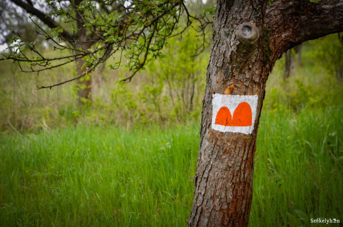 &bullet;  Fotó: Barabás Ákos