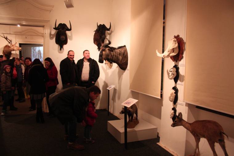 Vadvilág költözött a múzeumba