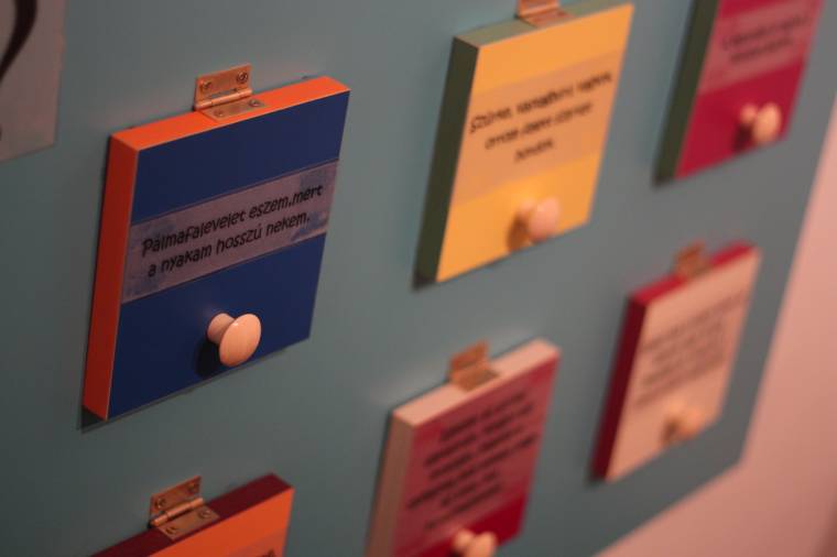 Interaktív természetrajzi tárlat Udvarhelyen