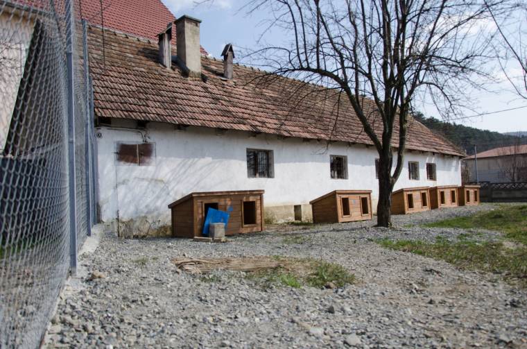 Kültéri kifutó a gazdátlan ebeknek
