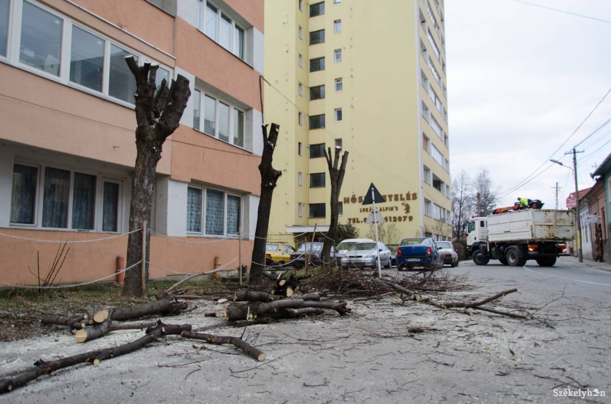 &bullet;  Fotó: Lukácsi Lehel