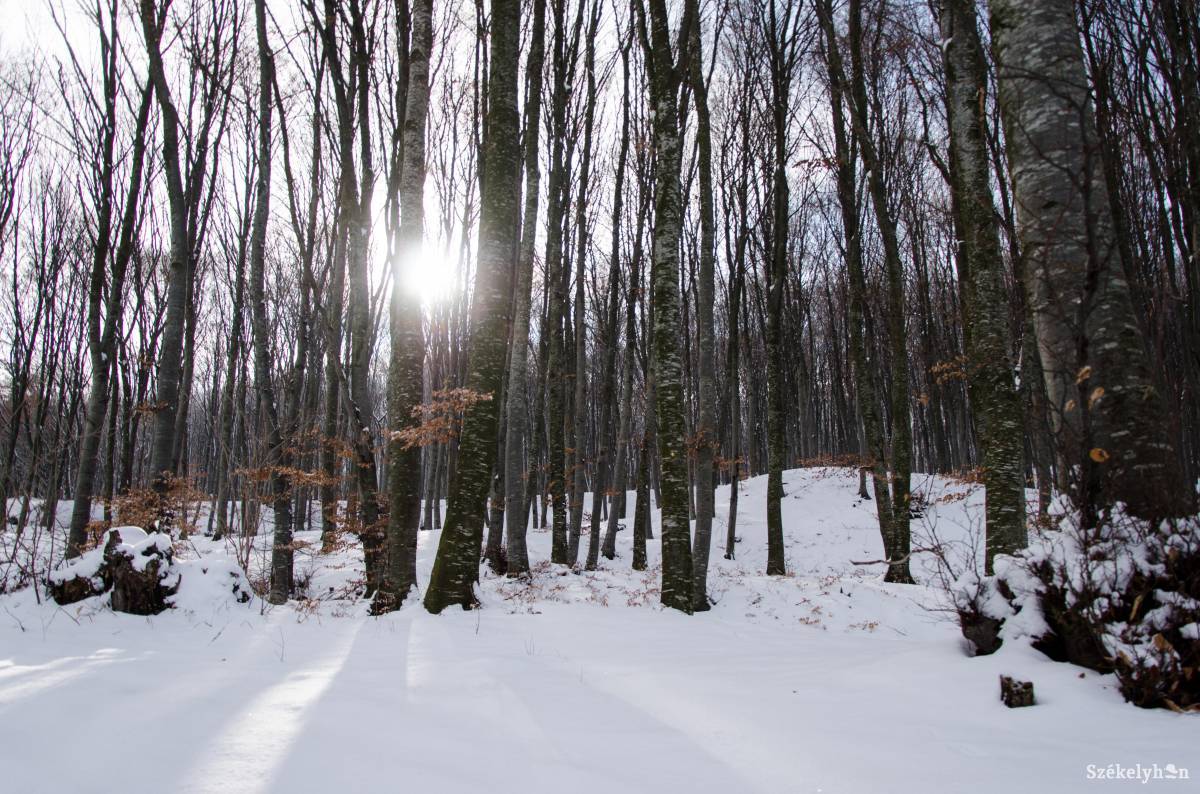 &bullet;  Fotó: Lukácsi Lehel