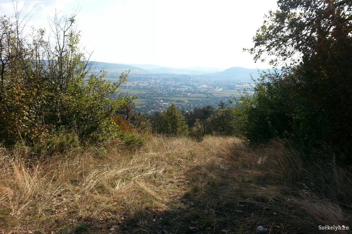 &bullet;  Fotó: Pál Gábor