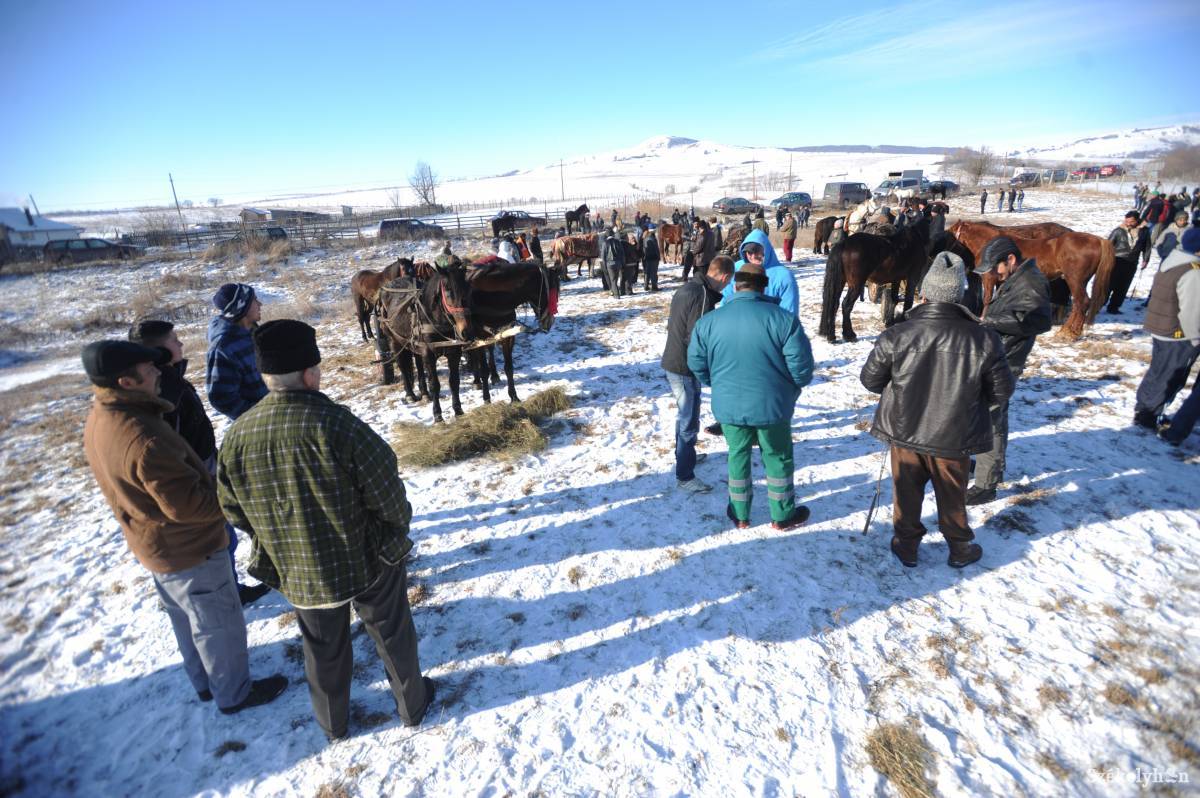 • Fotó: Thomas Campean
