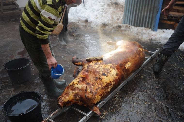 Hamarosan kezdődik a disznóvágások szezonja