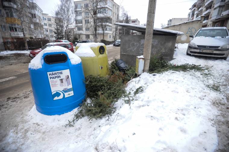Többnyire vízkereszt után csupaszítják le a karácsonyfákat