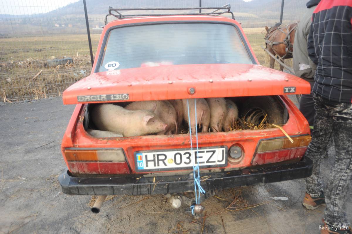 • Fotó: Thomas Campean