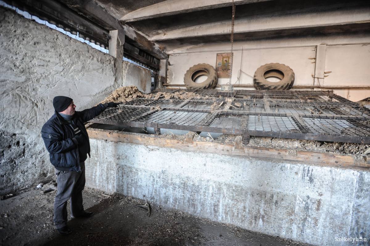 &bullet;  Fotó: Thomas Campean