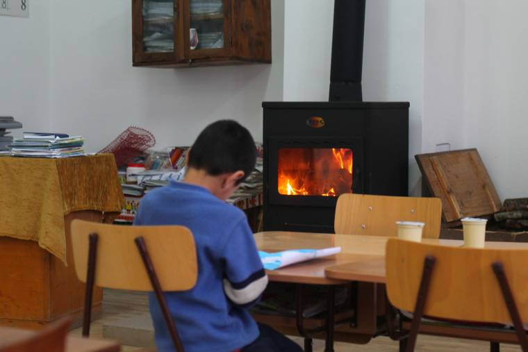Idejében gondoskodnak a fáról az udvarhelyszéki iskolák