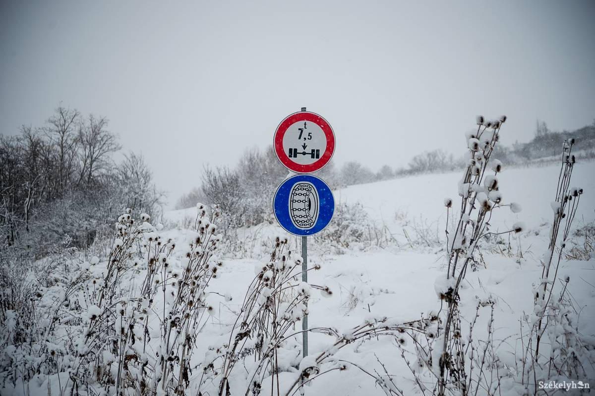 Képünk illusztráció •  Fotó: Barabás Ákos