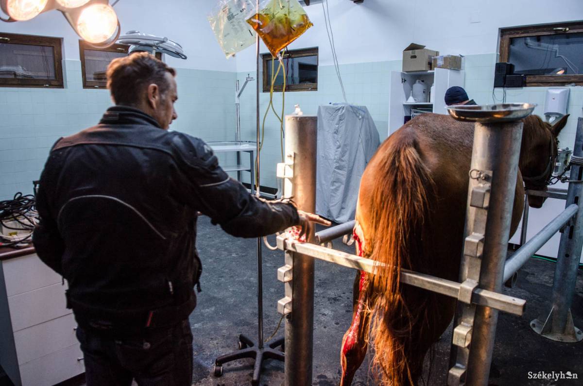 •  Fotó: Barabás Ákos