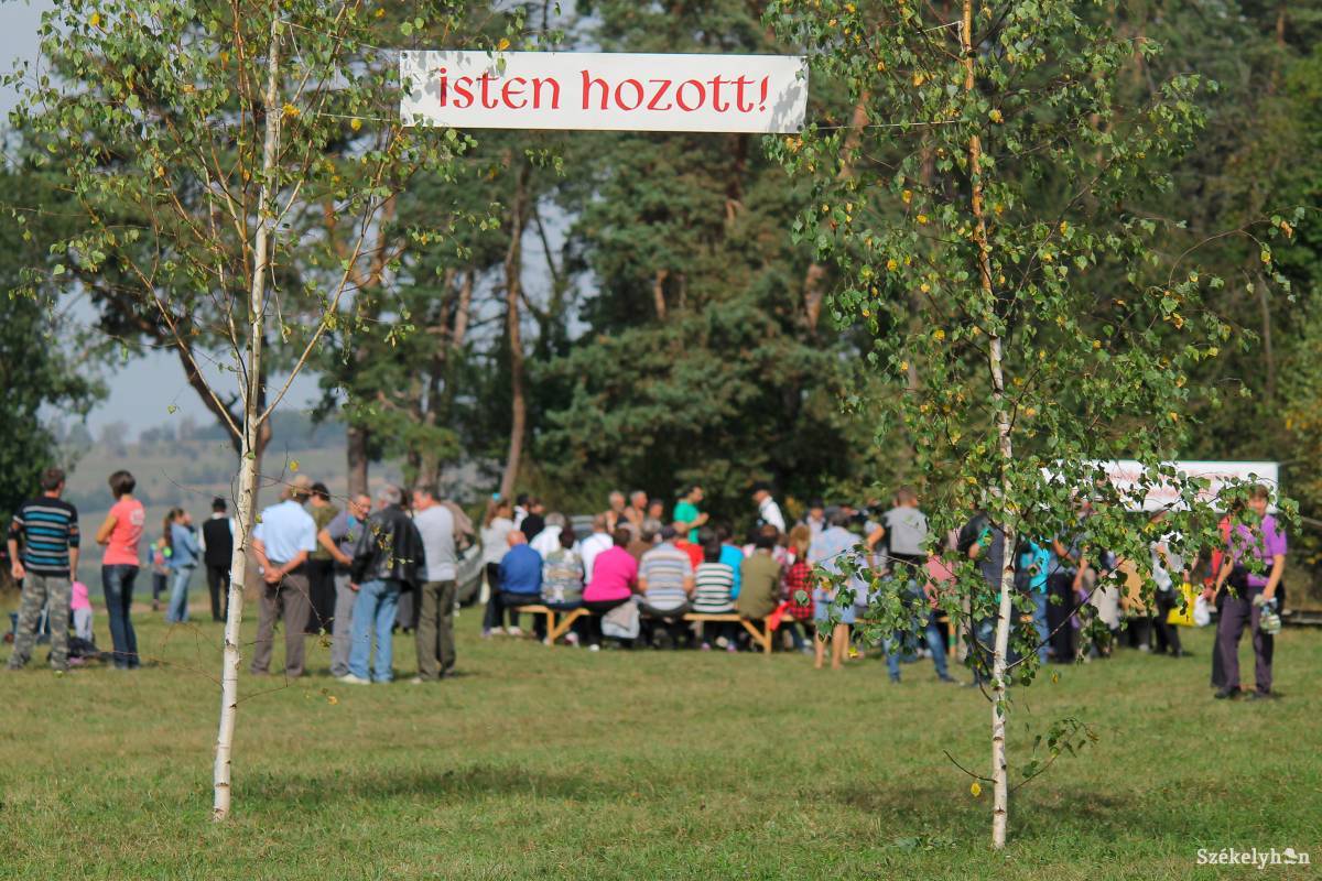 Termésünnepre hívnak Erdély egyetlen szelídgesztenyésébe. Archív •  Fotó: Pál Árpád