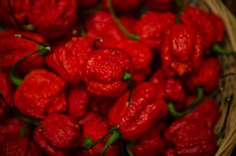 Pikáns újdonság Brassóban: jön az első erdélyi chilifesztivál