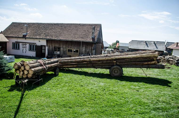 Fatolvajt fogtak a szentegyházi gazdák