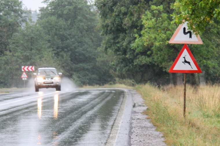 Fokozott figyelem szükséges az utakon, busás összeget kell fizetni az elütött szarvasért