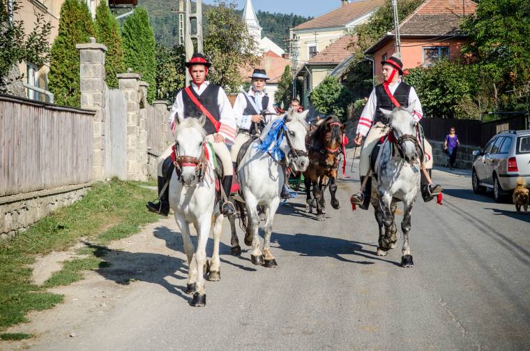 Szilvanapok tanulsága: akkor jó a pálinka, ha nincsen hibája