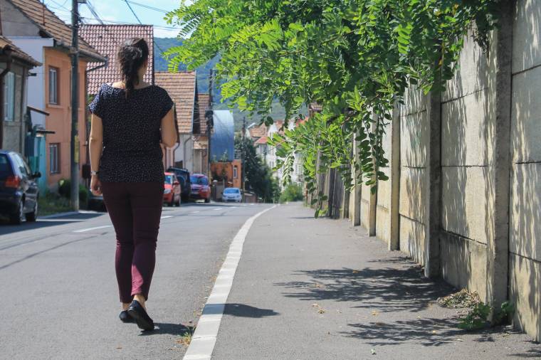 Amikor a faág a járdára lóg és a szilva is oda hull