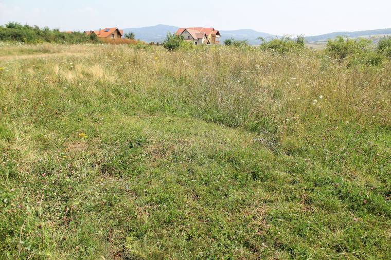 Figyeli, és tetten éri a tolvajokat