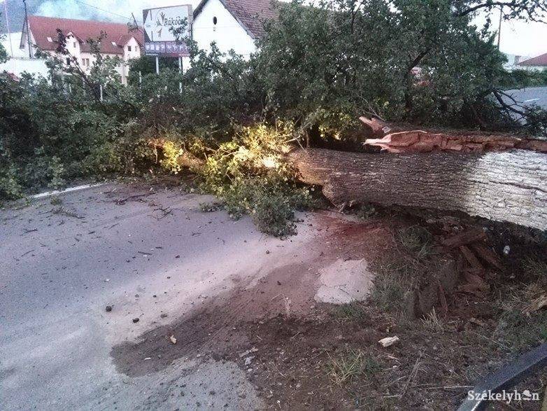 •  Fotó: Berkeczi Zsolt