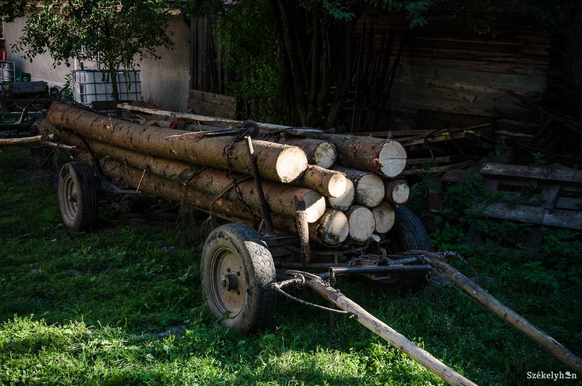 Archív &bullet;  Fotó: Barabás Ákos