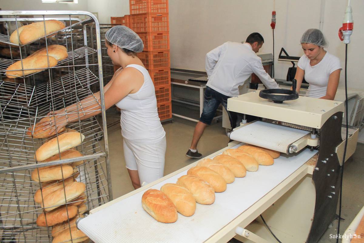 A hétvégén is dolgozó alkalmazottaknak most egymást követő két napon kell kiadni a szabadnapokat •  Fotó: Pál Árpád