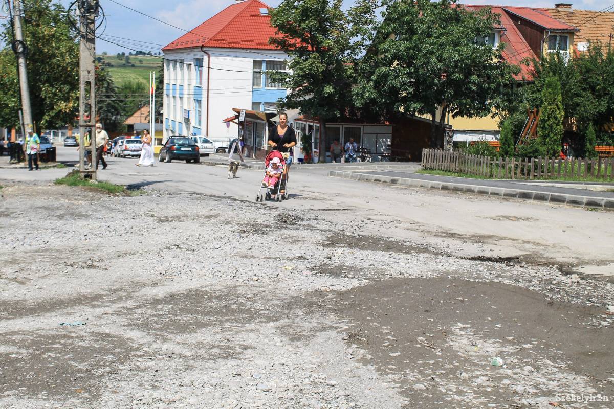 •  Fotó: Pál Árpád