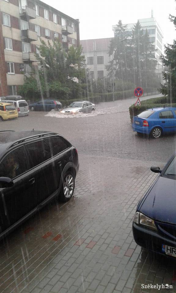 •  Fotó: Molnár Endre Hunor