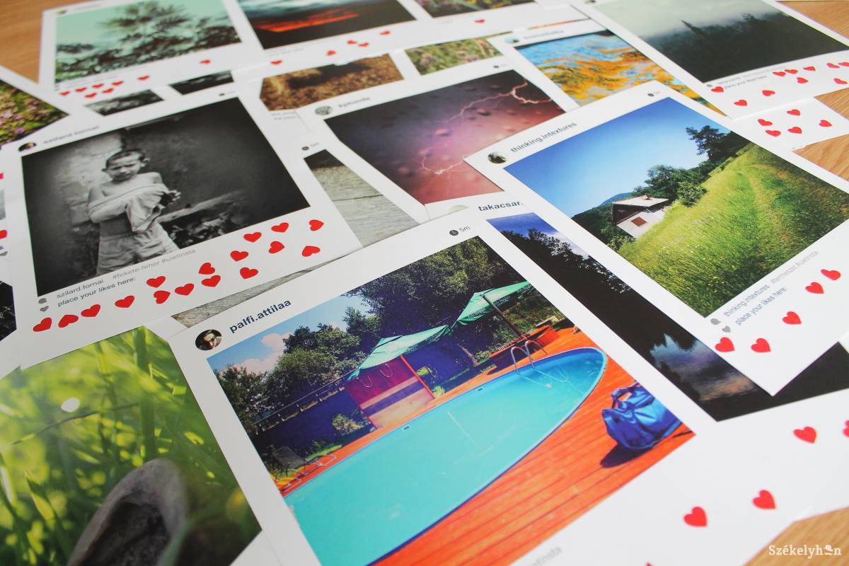 •  Fotó: Pál Árpád