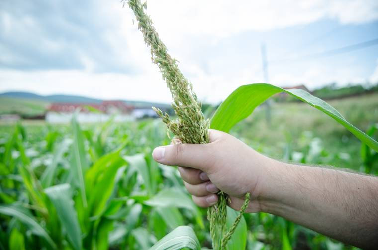 „Beindult a katasztrófavédelem protokollja, amit nem lehetett megállítani”