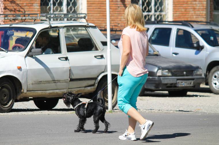 Az otthagyott kutyapiszok ellen plakátolnak
