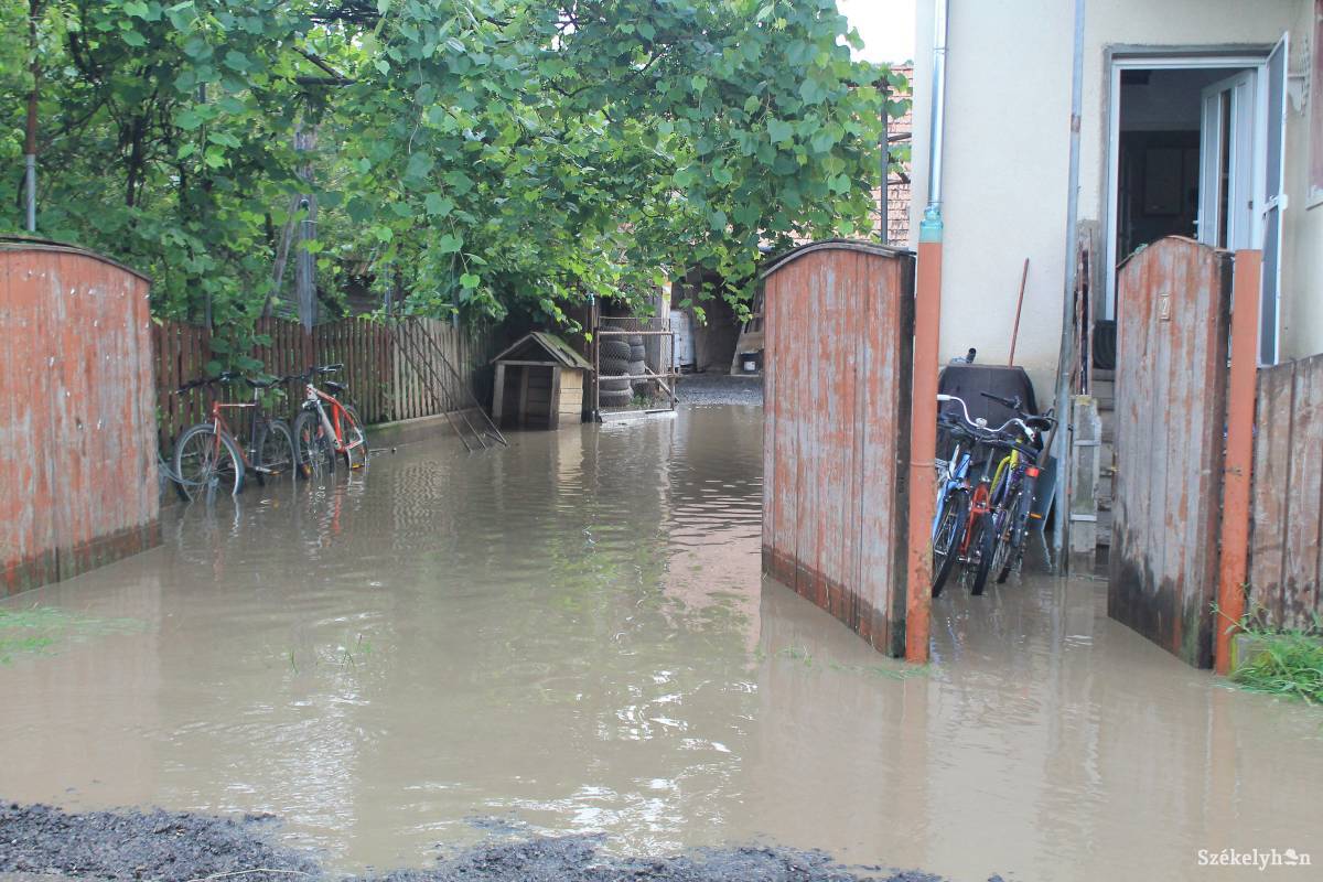 &bullet;  Fotó: Pál Árpád