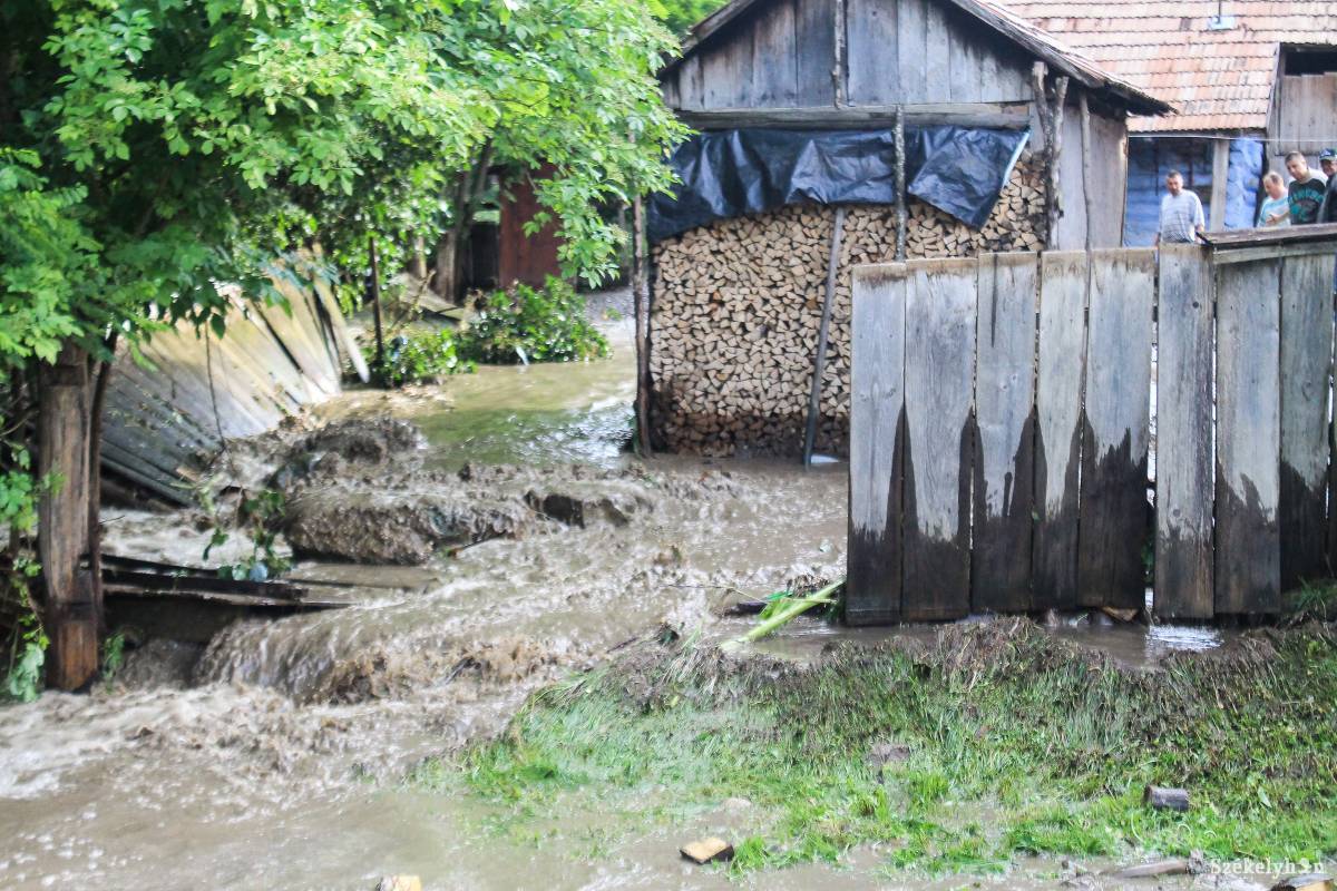 •  Fotó: Pál Árpád