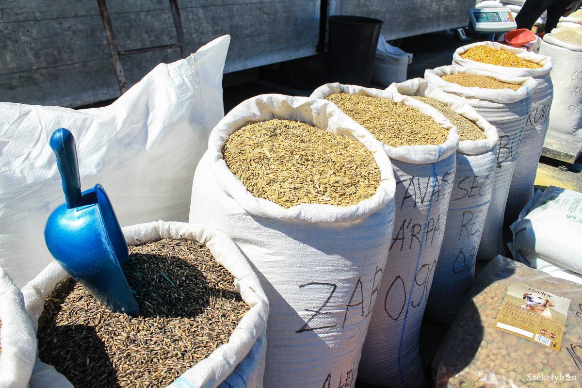 •  Fotó: Pál Árpád